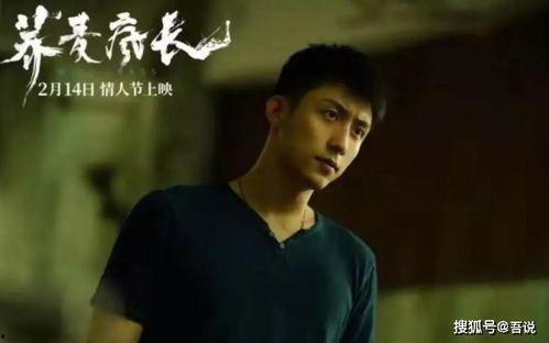 爆料李现黄景瑜视频,幕后真相引热议